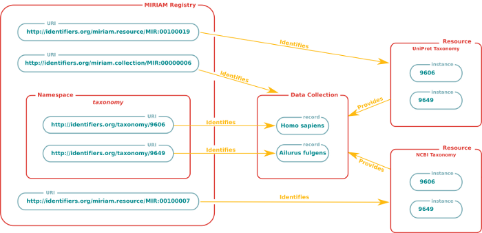 MIRIAM Registry collections and records